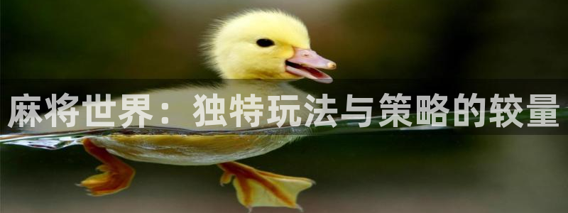 辉达娱乐平台登录：麻将世界：独特玩法与策略的较量