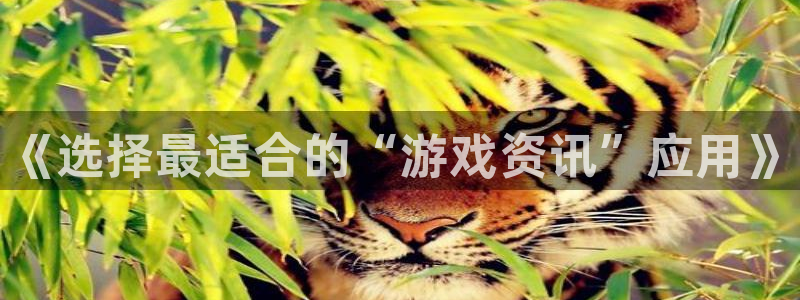 辉达娱乐平台官网注册：《选择最适合的“游戏资讯”应用》