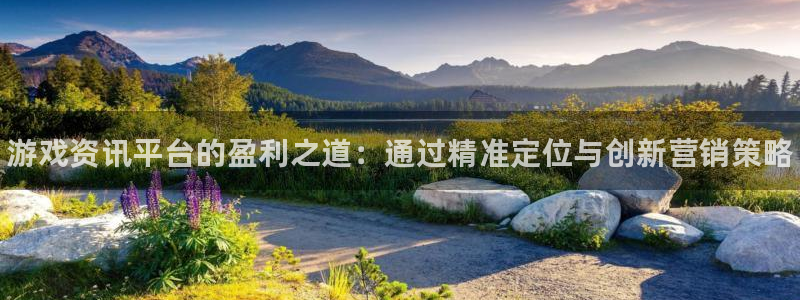 辉达娱乐4主管：游戏资讯平台的盈利之道：通过精准定位与创新营