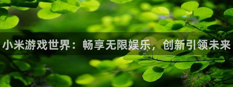 辉达娱乐测速：小米游戏世界：畅享无限娱乐，创新引领未来