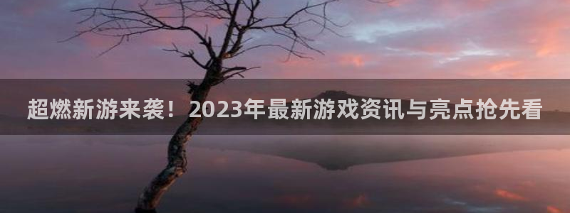 辉达娱乐平台登录入口：超燃新游来袭！2023年最新游戏资讯与
