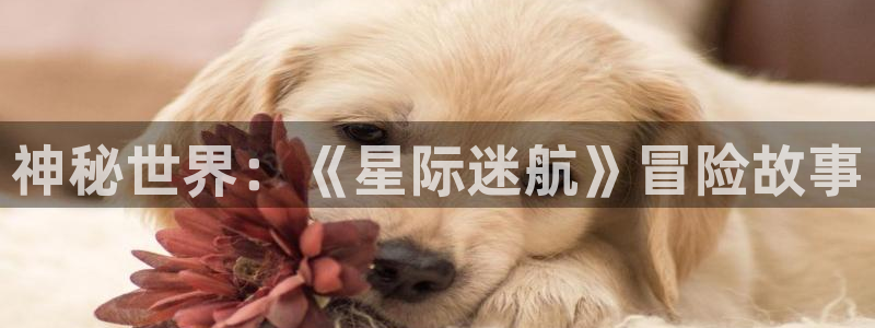 辉达娱乐注册网站：神秘世界：《星际迷航》冒险故事