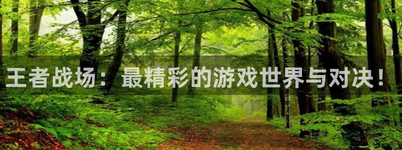 辉达娱乐注册账号：王者战场：最精彩的游戏世界与对决！