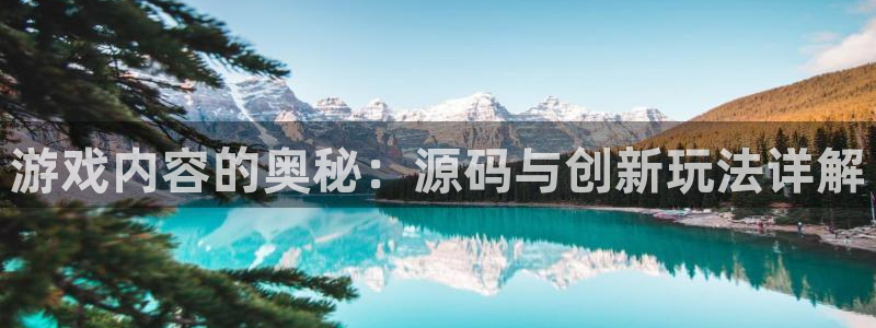 辉达娱乐4开户：游戏内容的奥秘：源码与创新玩法详解