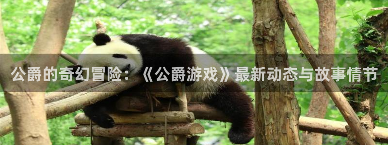 辉达娱乐平台官网客服电话：公爵的奇幻冒险：《公爵游戏》最新动