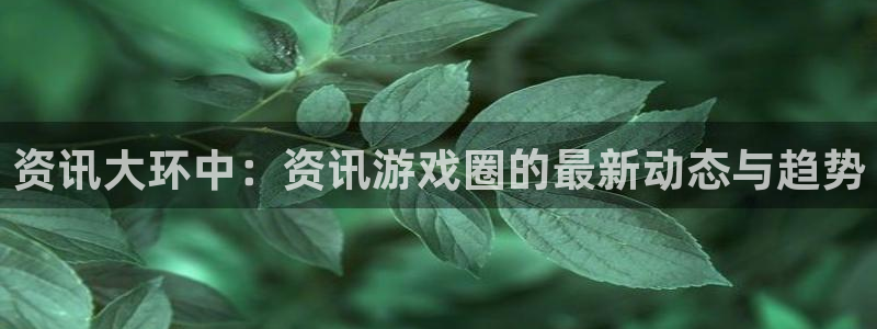 辉达娱乐下载链接：资讯大环中：资讯游戏圈的最新动态与趋势